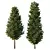  Evergreen 3D Pin Tree Model 3D model small image 3