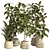 Modern Concrete Indoor Plant Set 3D model small image 1