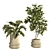 Modern Concrete Indoor Plant Set 3D model small image 3