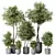 Elegant Olive Tree Set - Yardzen 3D model small image 1