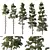 Pin Tree Collection 3D Models 3D model small image 1