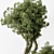 Leafy Serenity Tree in Pot 3D model small image 3