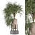 Indoor Plants Set 1277 - 3D Models 3D model small image 1