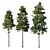 Pin Tree 07 Collection: Detailed 3D Models 3D model small image 1