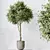 Variety Indoor Plants Set 59 3D model small image 3