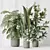 Variety Indoor Plants Set 59 3D model small image 4