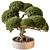 Mini Bonsai Indoor Plant 3D model small image 1