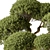 Mini Bonsai Indoor Plant 3D model small image 3