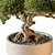 Mini Bonsai Indoor Plant 3D model small image 4