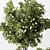 Botanical Beauty - Indoor Tree Display 3D model small image 3