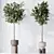 Modern Indoor Plant set Collection 3D model small image 4