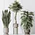 Modern Indoor Plant set Collection 3D model small image 5