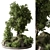 Greenery Collection Outdoor Plants 3D model small image 1