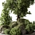 Greenery Collection Outdoor Plants 3D model small image 3