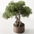 Exquisite Bonsai Plant 719 3D model small image 2