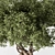 Exquisite Bonsai Plant 719 3D model small image 3