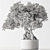 Exquisite Bonsai Plant 719 3D model small image 4