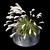 Ornamental Grass Duo Set 3D model small image 3