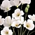 Icelandic Poppy Field Bouquet 3D model small image 3