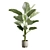 Lush Calathea Lutea Planter 3D model small image 5