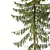 Spruce Tree02 3D Model Kit 3D model small image 3