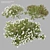  California Buckwheat 3D Model 3D model small image 5