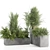 Concrete Box Outdoor Plants Set 3D model small image 4