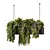 Botanical Bliss Hanging Plants Set 3D model small image 1