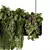 Botanical Bliss Hanging Plants Set 3D model small image 3