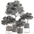 Russian Charm Tree Potted Greenery 3D model small image 6