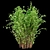 Hazelnut Bush 121cm Height 3D model small image 2