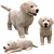 Golden Retriever Puppies Miniatures 3D model small image 6