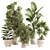 Stylish Indoor Plant Set 099 3D model small image 1