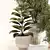 Stylish Indoor Plant Set 099 3D model small image 4