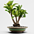 PBR Indoor Plant Decoration Item 3D model small image 3