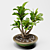 PBR Indoor Plant Decoration Item 3D model small image 4