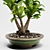 PBR Indoor Plant Decoration Item 3D model small image 5