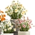 Title: Field Flowers Collection in Planters 3D model small image 6