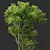 Celtis Australis 3D Model Pack 3D model small image 3