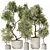 Modern Indoor Plant Set Bundle 3D model small image 1