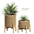 Rattan Planters Set with Vray 3D model small image 1