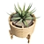 Rattan Planters Set with Vray 3D model small image 3