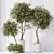 Artificial Indoor Plant Set Trio 3D model small image 3