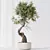 Artificial Indoor Plant Set Trio 3D model small image 4