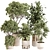 Premium Indoor Plant Collection 106 3D model small image 1