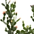 Desert Cactus Collection 1475 3D model small image 4