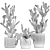 Desert Cactus Collection 1475 3D model small image 6