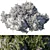 Ivy & Moss Stones Set 3D model small image 6