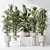 Indoor Plant Collection Set 81 3D model small image 2