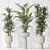 Indoor Plant Collection Set 81 3D model small image 4